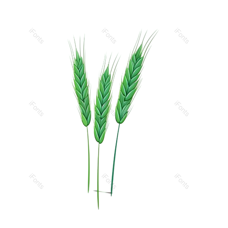 芒种图片,元素元素,丰收PNG,麦穗免抠素材